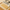 Bamboo Dowels / Round Sticks – Precision-Cut Rods for Architecture, Engineering & Sustainable Design