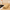 Bamboo D-Sticks /  Half-Round Slats – Precision Curved Profiles for Architecture & Design