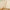Bamboo Yoga and Fitness Stick – Bamboo Stick for Better Posture, Flexibility & Balance Training