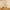 Complete Health Bamboo Yoga Stick & Pranayam Stick Combo – Posture, Flexibility, Breathwork & Stress Relief Tool