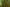 A Culinary Adventure with Bamboo: Exploring Flavor and Health Benefits