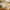 Bamboo Dowels / Round Sticks – Precision-Cut Rods for Architecture, Engineering & Sustainable Design