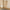 Bamboo Physiotherapy Stick – Bamboo stick for support, guided mobility and alignment