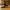 Bamboo Yoga and Fitness Stick – Bamboo Stick for Better Posture, Flexibility & Balance Training