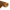 Bamboo Brown Placemat (Pack of 6)