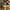 Bamboo Yoga and Fitness Stick – Bamboo Stick for Better Posture, Flexibility & Balance Training