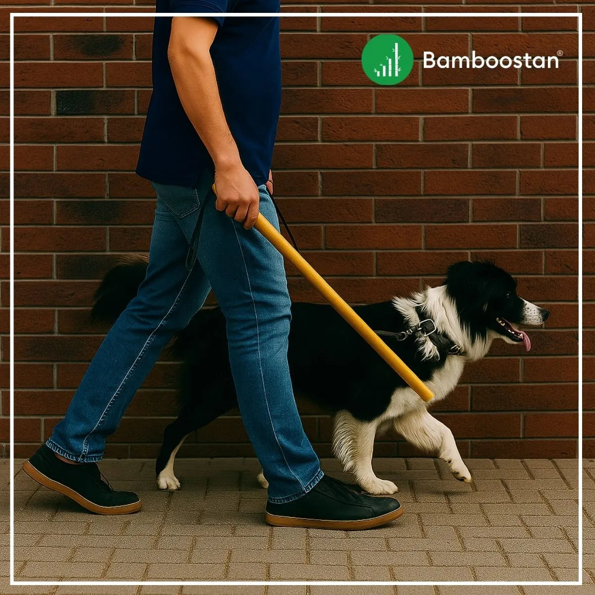 Person walking a dog on a leash against a brick wall with bamboo dog walking stick