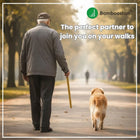 Man walking a dog on a path with Bamboo dog walking stick