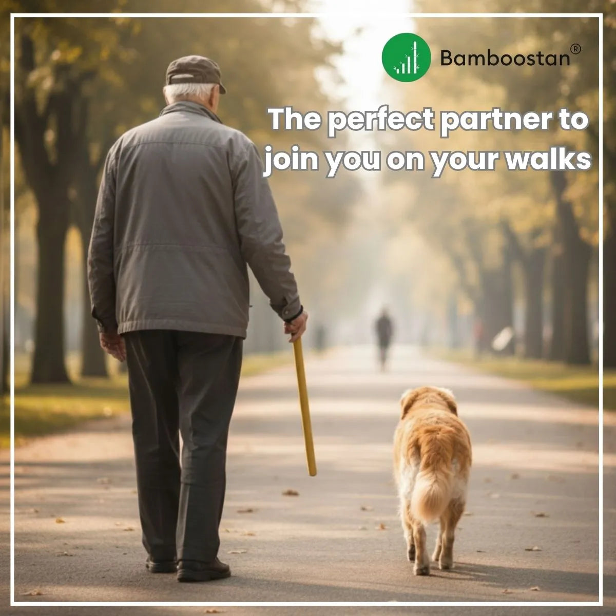 Man walking a dog on a path with Bamboo dog walking stick