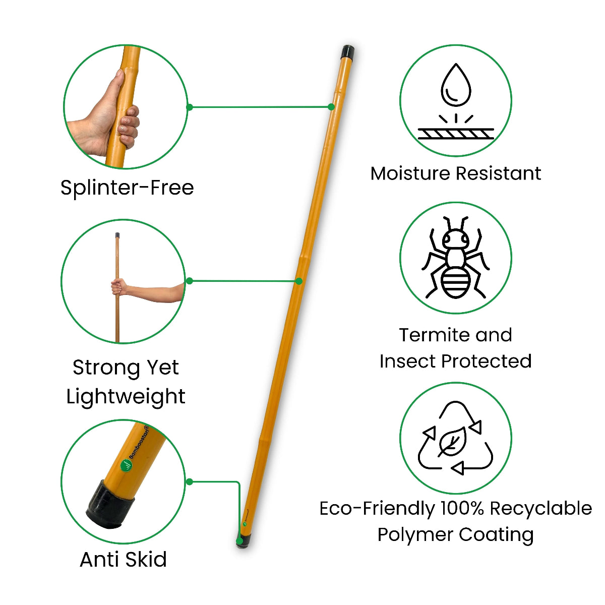 Bamboo stick with features highlighted on a white background