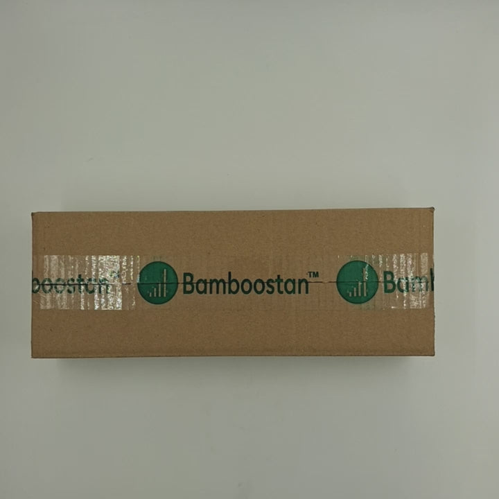 Bamboo Dragon Lamp Kit – DIY Craft Light for Mindful Living